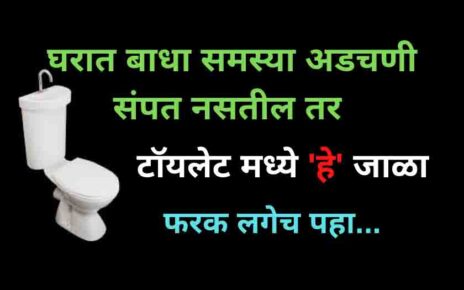 घरात बऱ्याच प्रमाणात अडचणी येत असतील तर टॉयलेट मध्ये हे जाळा अडचणी कमी होतील.